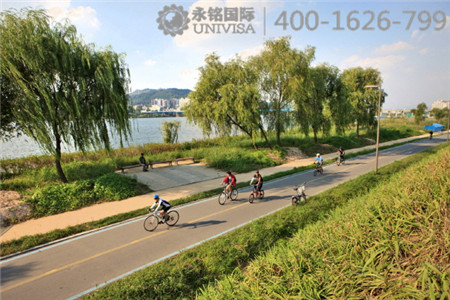 酒后騎自行車也算酒駕？！韓國交通管理如此嚴(yán)格